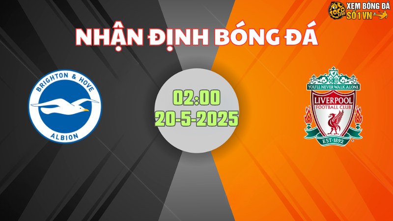 Brighton - Liverpool